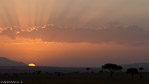 Kenya / Masai Mara