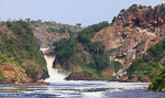 Ouganda / Nil - Murchinson falls