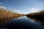 Botswana / Okavango delta