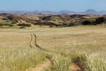 Namibie / Damaraland