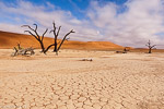 Namib