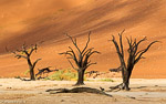 Namib