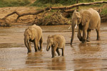 Kenya / Samburu