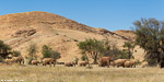 Namibie / Damaraland