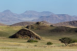 Damaraland