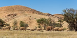 Namibie / Damaraland