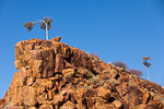 Damaraland