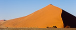 Namib