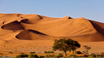 Namib