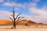 Namib