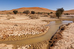 Namib